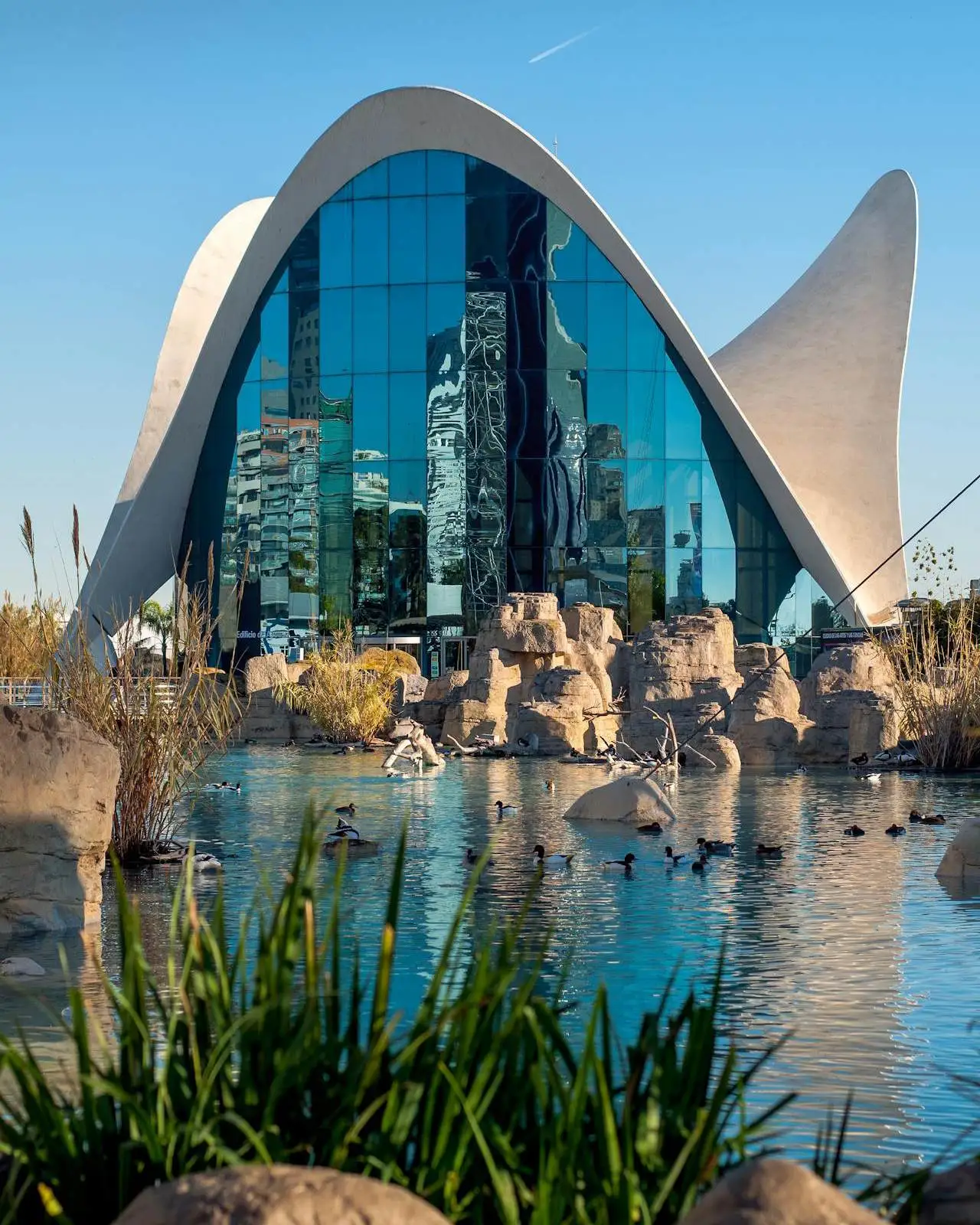 oceanografico-valencia