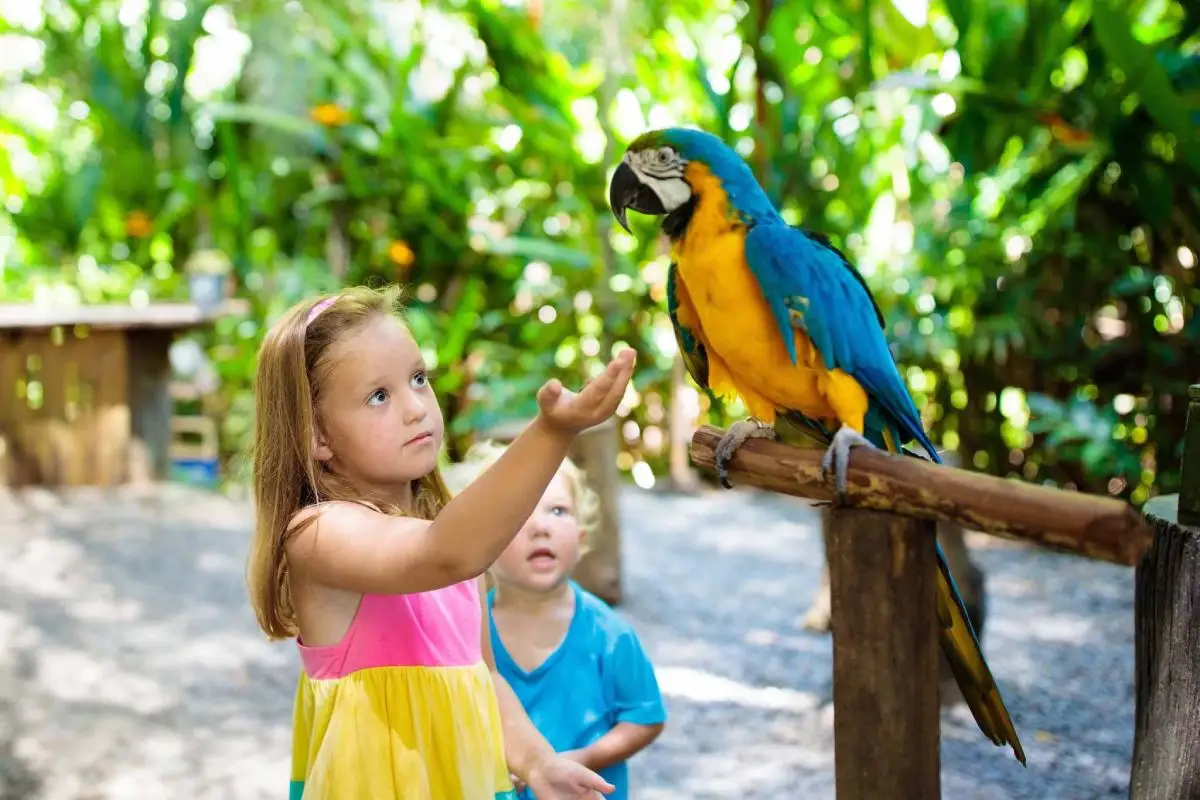 Loro Parque 
