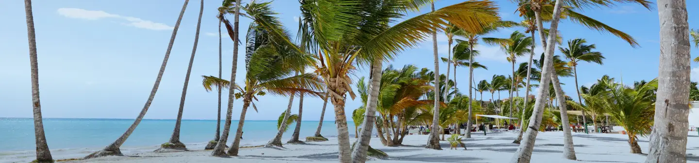 Booking Pro by Palladium Conect