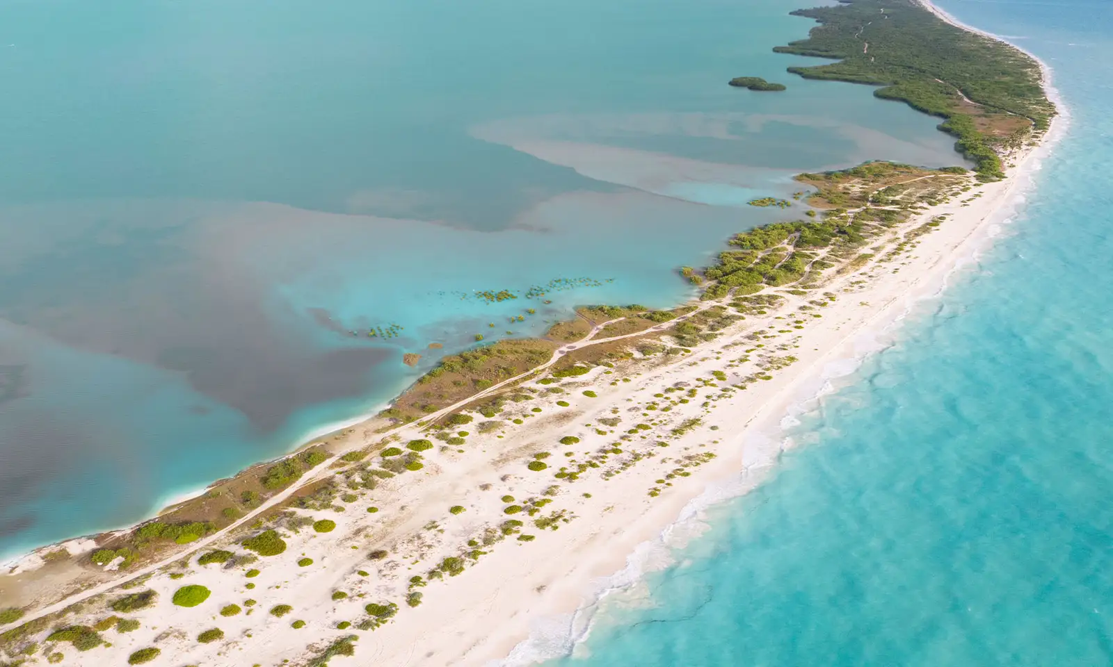 Costa Mujeres, Cancún