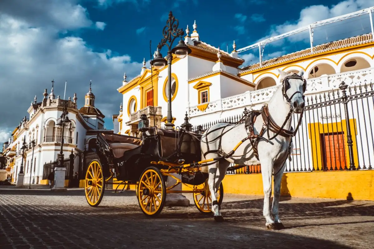 Seville Real Maestranza bullring plaza toros de Sevilla in andalusia Spain 2019