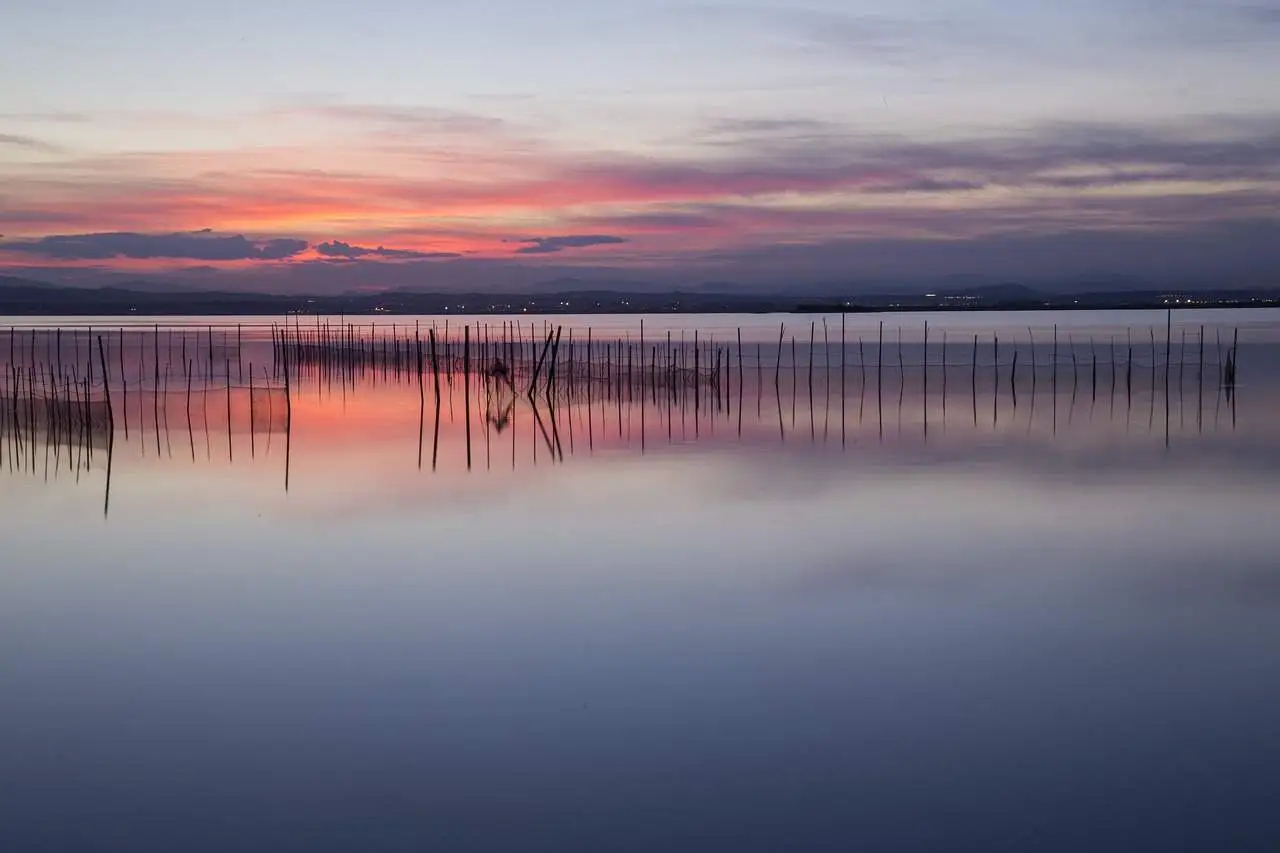 Parque Natural de l’Albufera